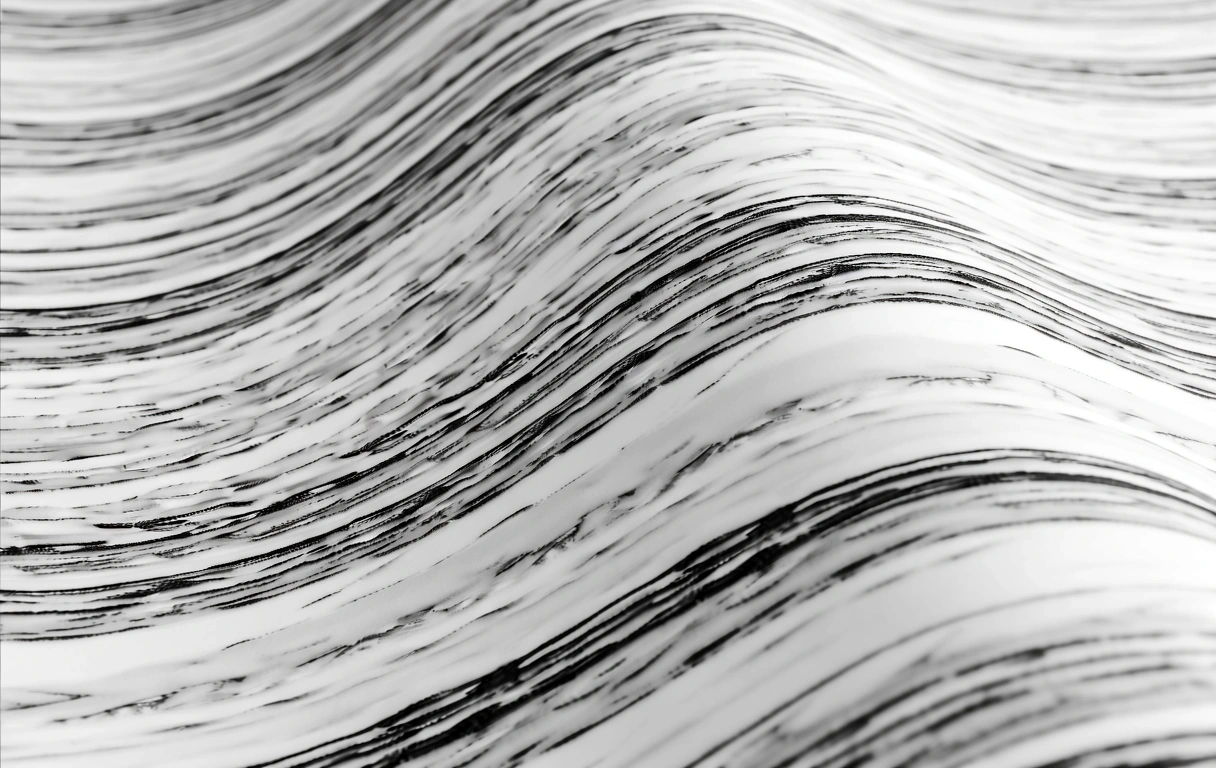 Disposition des graines de tournesol